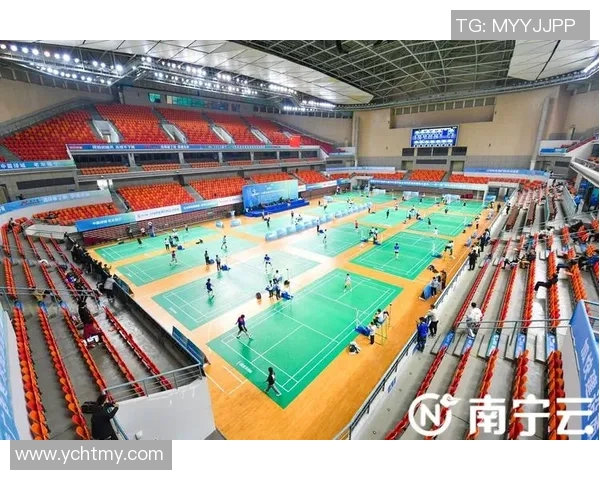 赛后分析南京羽毛球队与北京羽毛球队的战术意识与表现对比