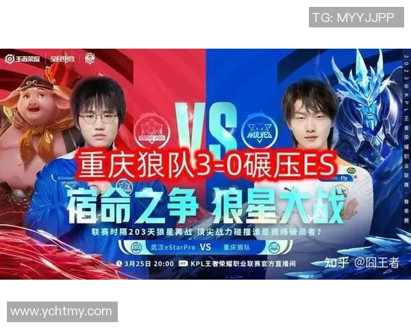 赛后分析：武汉乒乓球队与重庆乒乓球队的战术意识与表现对比