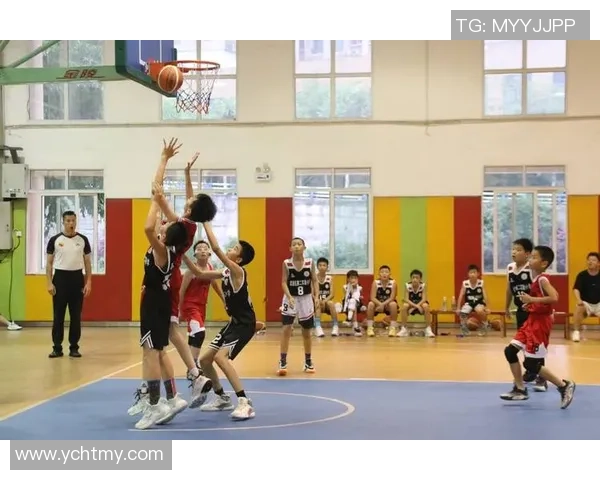 重庆篮球队区域防守创新之路探索与实践分析