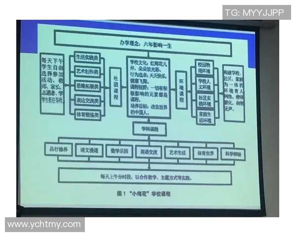 重庆羽毛球队比赛经验分析与表现评估的深入研究与探讨