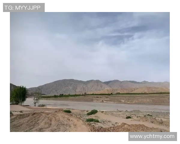 重庆网球队与深圳网球队赛后复盘分析比赛经验与教训分享