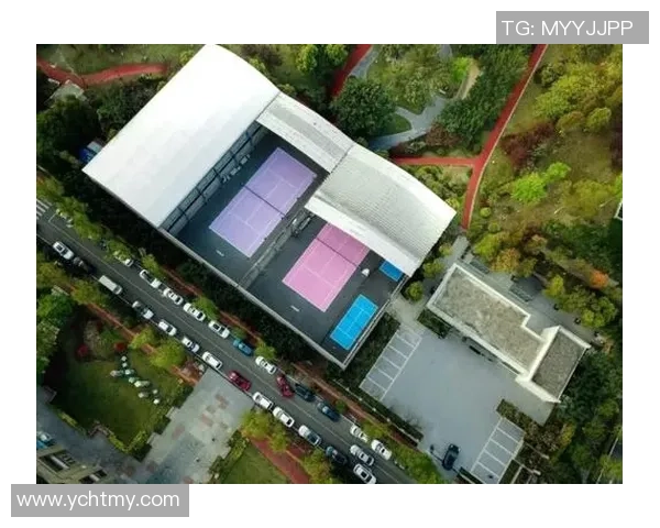 重庆网球队运营分析：成功经验与不足之处的全面探讨