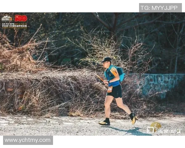 武汉排球队的崛起之路：从默默无闻到精英赛的辉煌历程