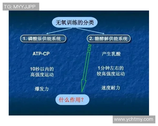 深圳羽毛球队耐力表现数据分析揭示训练效果与运动员潜力的深度关系