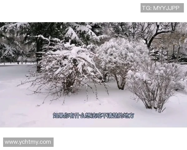 深圳乒乓球队包夹战术解析与热点动态深度剖析